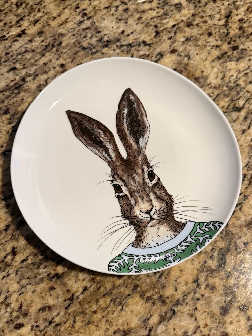 West Elm rachel kozlowski plate with Brown Hare and Green sweater dapper animal